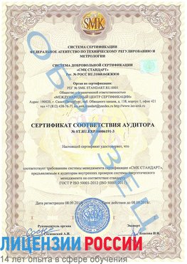 Образец сертификата соответствия аудитора №ST.RU.EXP.00006191-3 Новотроицк Сертификат ISO 50001